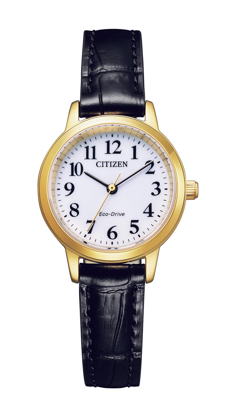 Citizen Watch