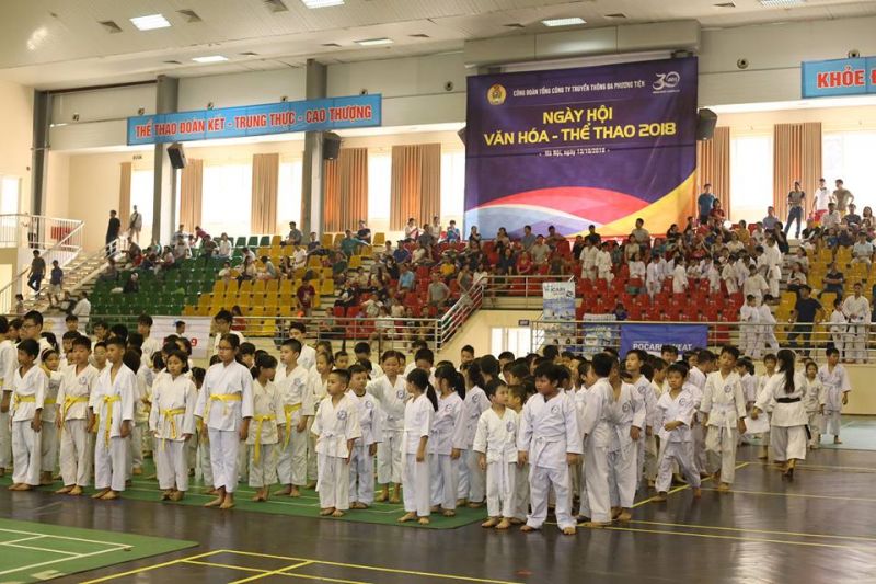 CLB võ thuật Việt Nhật