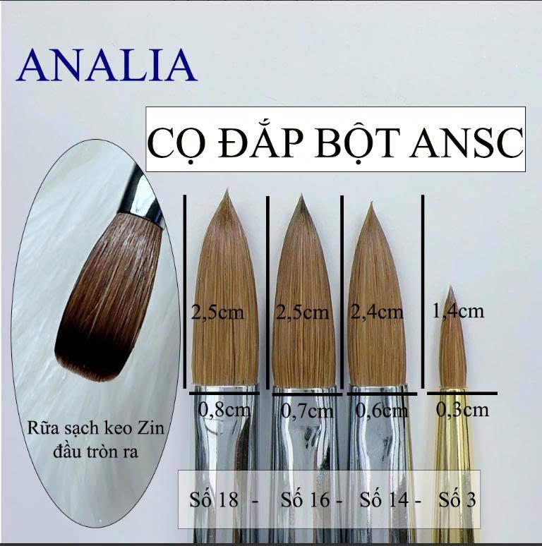 Cọ Đắp Bột ANSC Lông Chồn