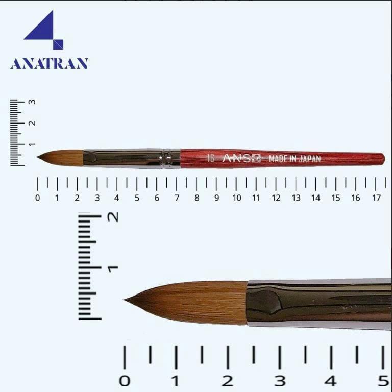 Cọ Đắp Bột ANSC Lông Chồn