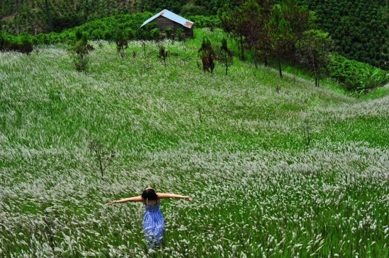 Một địa điểm tuyệt vời để 