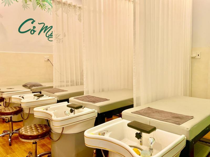 Cỏ Mây - Spa & Gội Đầu Dưỡng Sinh