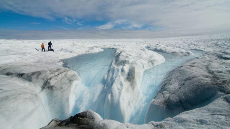 Có những thực vật hóa thạch ở Greenland dưới 1,4 km băng