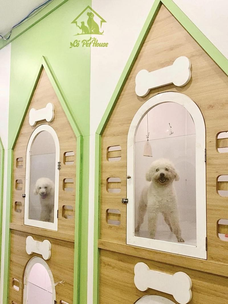 Cỏ Pet House