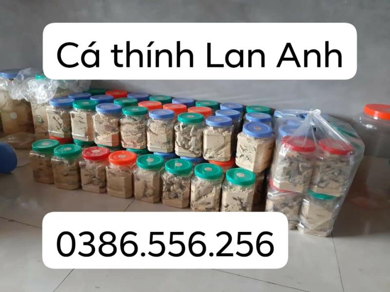 Cơ sở sản xuất Cá thính Lan Anh