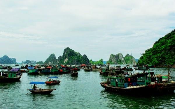 Tàu thuyền trên làng chài Cô Tô