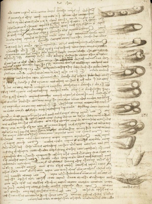 Codex Leicester của Leonardo da Vinci