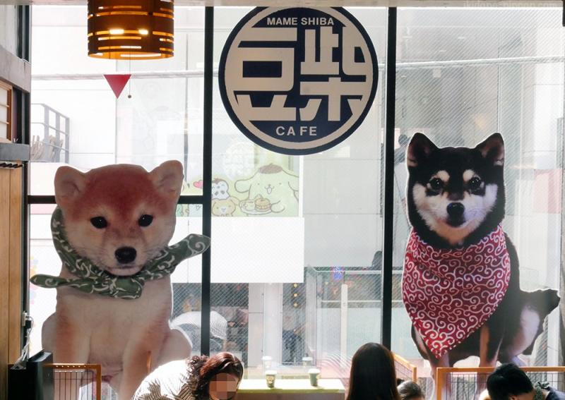 Coffe Mame – Shiba