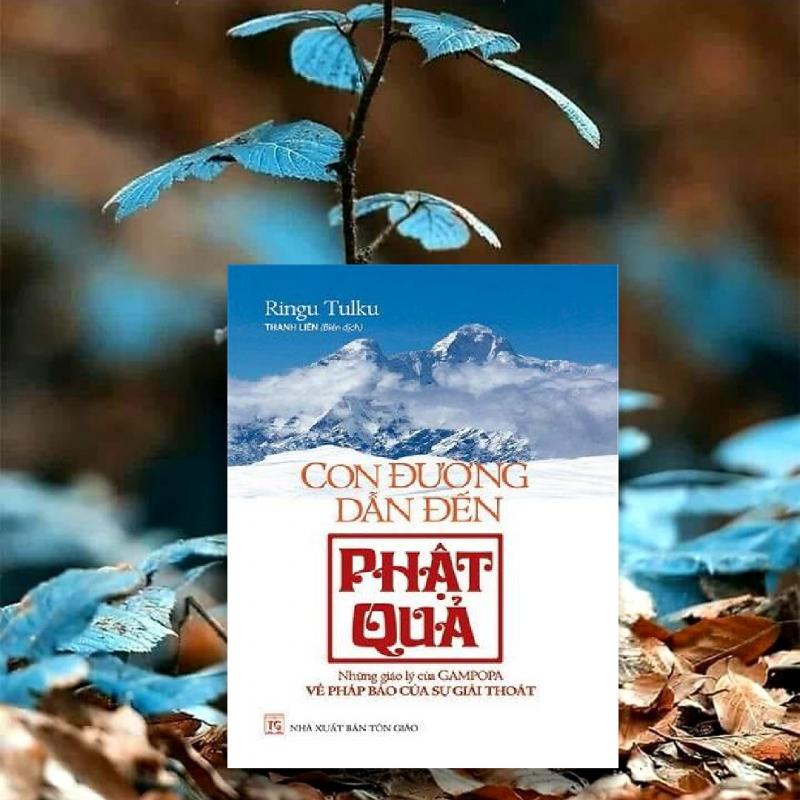 Con đường dẫn đến Phật quả - Tác giả: Ringu Tulku