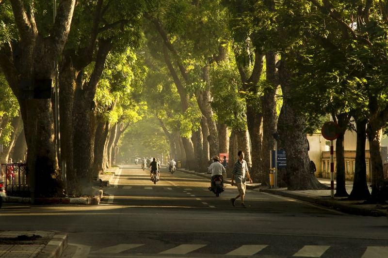 Top 12 Con đường đẹp nhất ở Hà Nội để bạn đi lượn