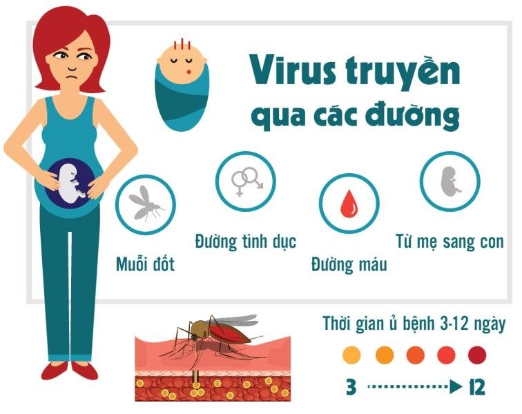 Con đường lây truyền virut Zika