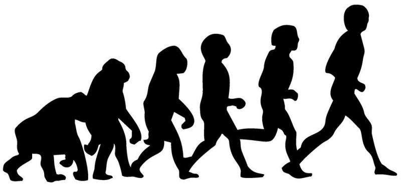 Quá trình tiến hóa của con người