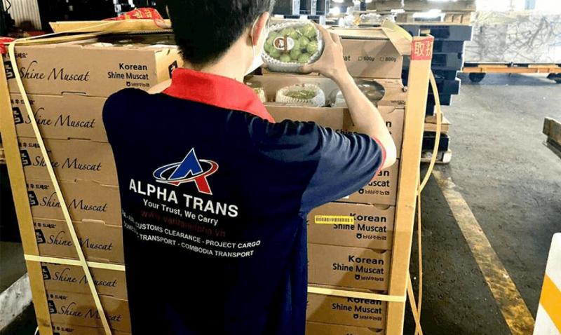Công ty Alphatrans