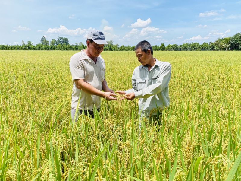 Công ty Cổ phần Công nghiệp và Thương mại Phương Bắc