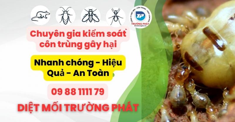 Công ty Cổ phần Diệt Mối Trường Phát