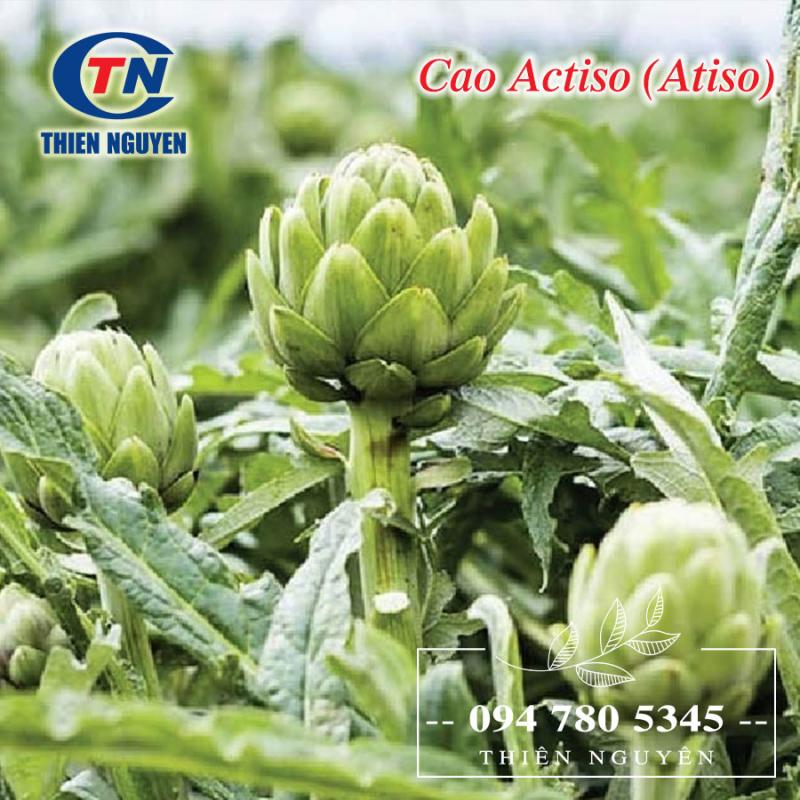 Cao Actiso - Một sản phẩm của chi Nhánh Công Ty Cổ Phần Dược Phẩm Thiên Nguyên