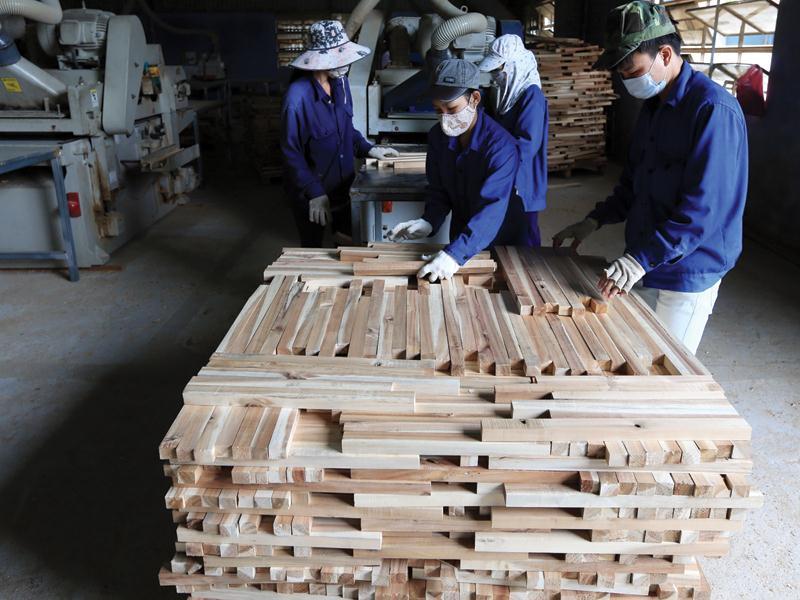 Chế biến sản xuất gỗ