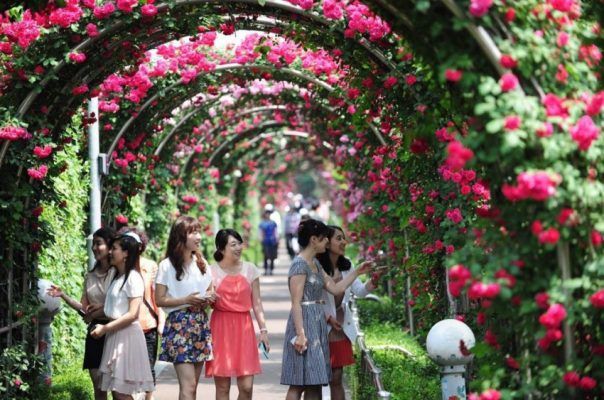 Công ty CP Rose Park Việt Nam