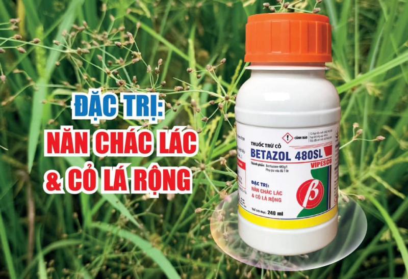 Sản phẩm của Vipesco