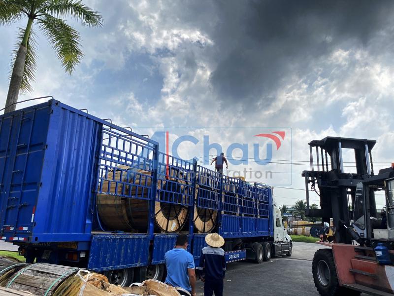 Công Ty Cổ Phần Vận Chuyển Á Châu đáp ứng đa dạng các phương tiện vận chuyển từ xe tải nhỏ, xe tải lớn, xe đầu kéo, xe Container, xe Đông lạnh