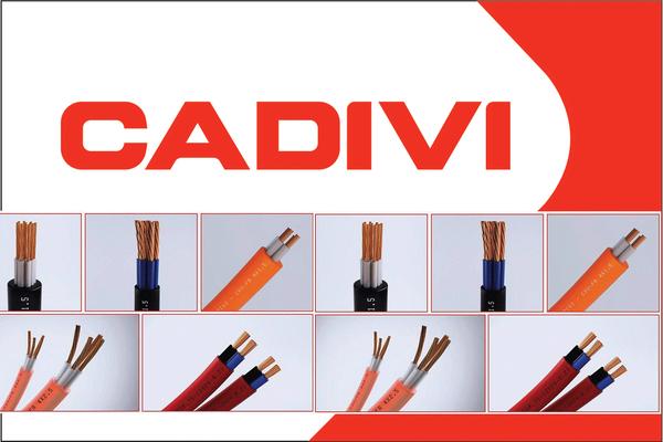 Công ty Dây cáp điện Việt Nam (CADIVI)