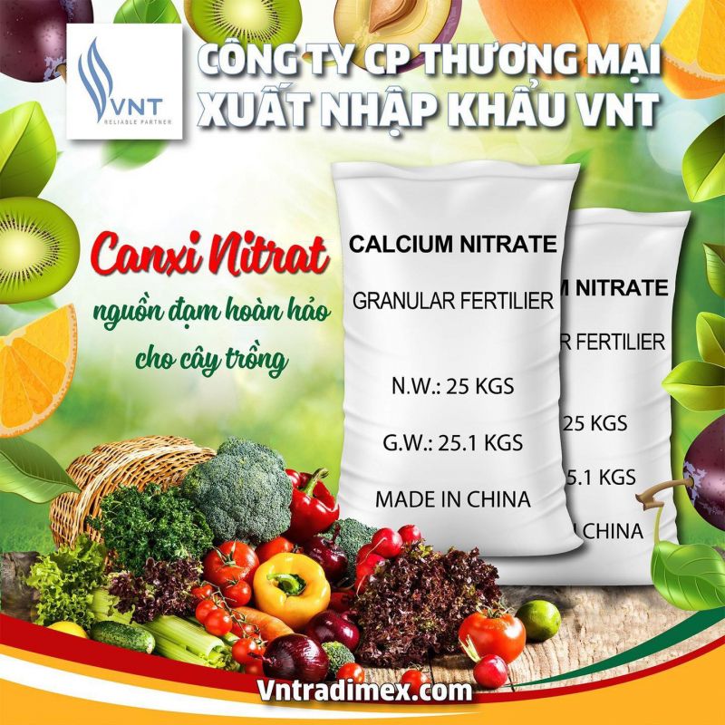 Công ty Cổ phần Thương mại Xuất nhập khẩu VNT