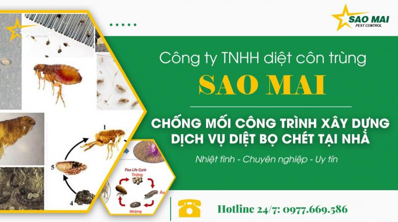 Công ty diệt côn trùng Sao Mai