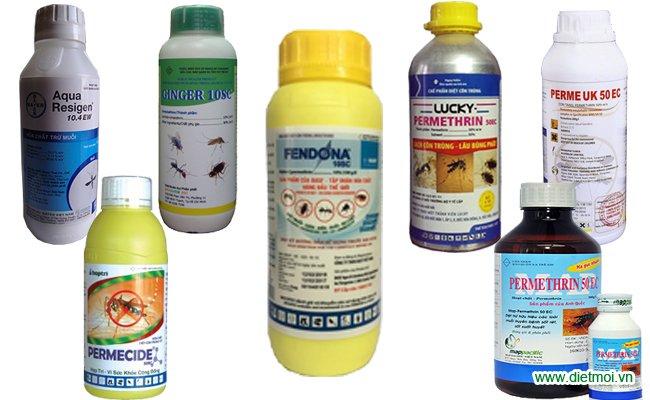 Công ty diệt côn trùng Trần Anh