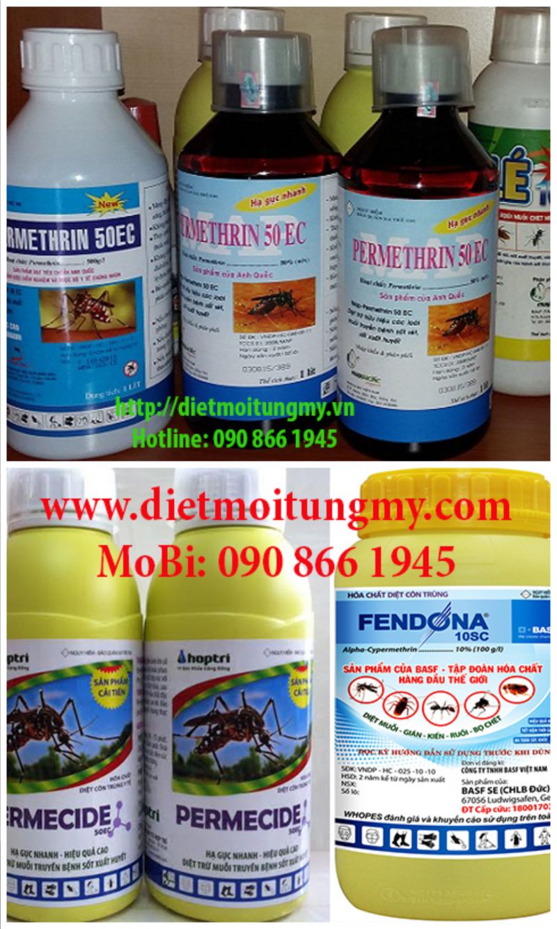 Công ty diệt côn trùng Tùng My