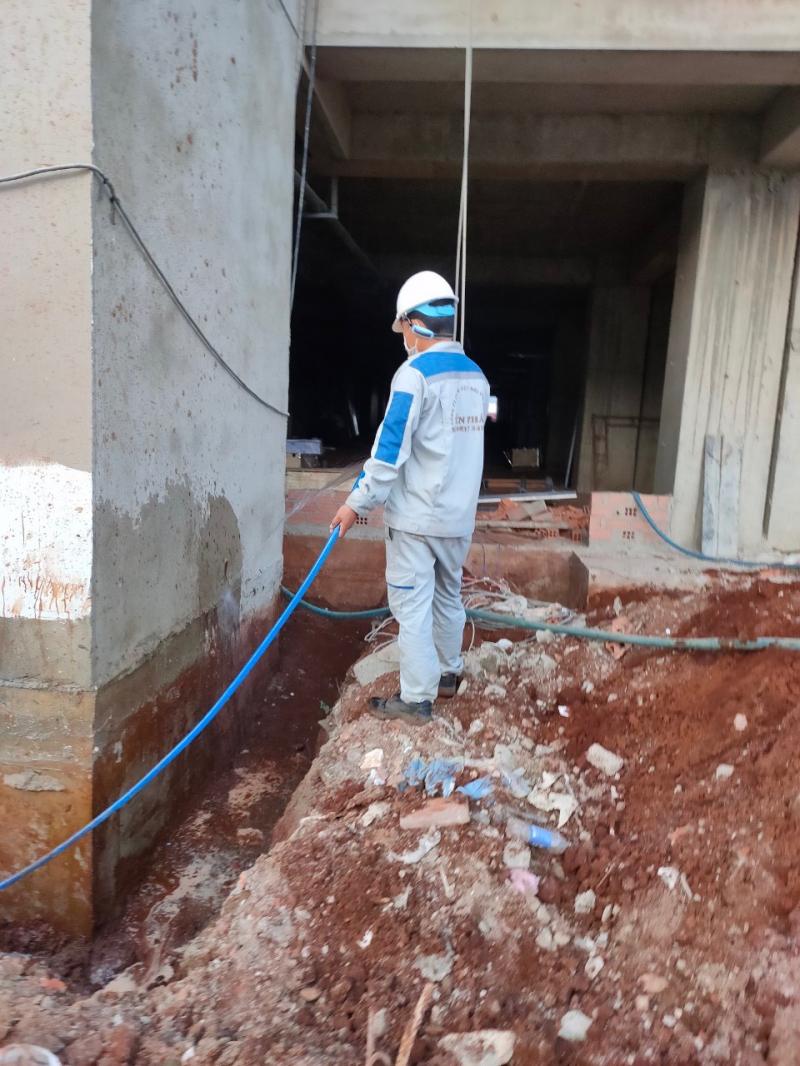 Công ty diệt mối côn trùng Tiến Phát