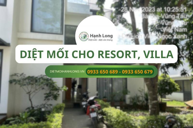 Công ty diệt mối Hạnh Long
