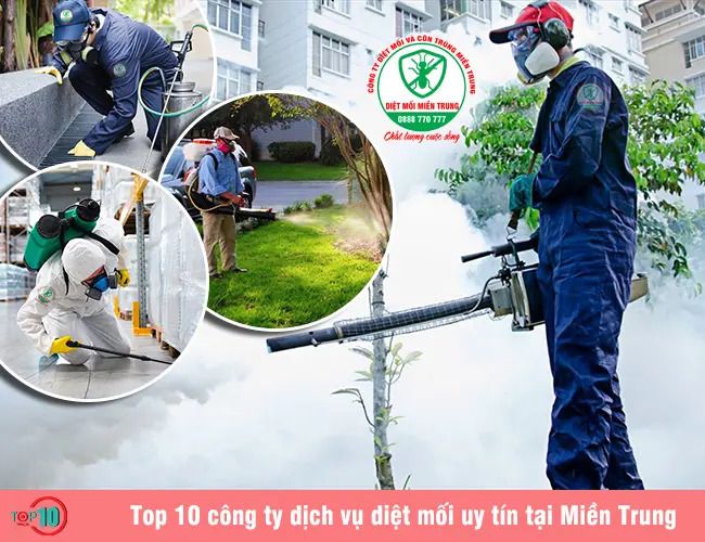 Công ty Diệt mối và Côn trùng Miền Trung