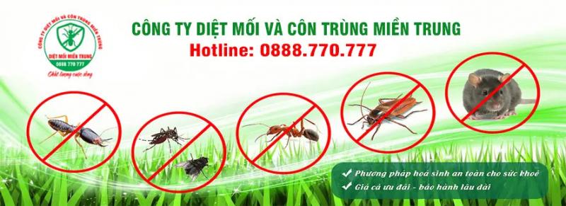 Công ty Diệt mối và Côn trùng Miền Trung