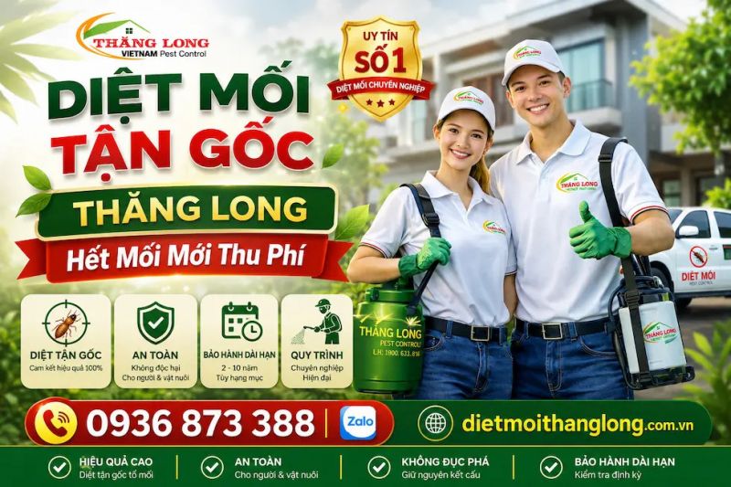 Công ty diệt mối và côn trùng Thăng Long