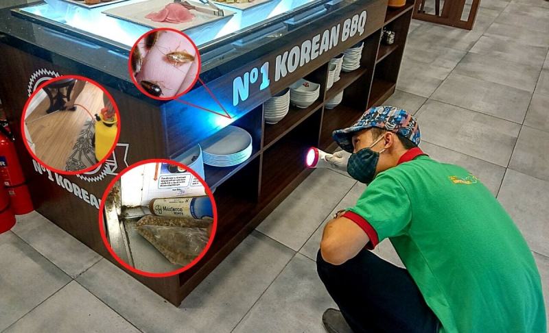 Công ty Diệt Mối Và Khử Trùng Hà Nội (Hanoi Pest Control)