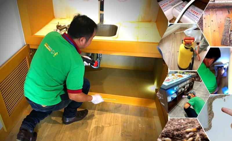 Công ty Diệt Mối Và Khử Trùng Hà Nội (Hanoi Pest Control)