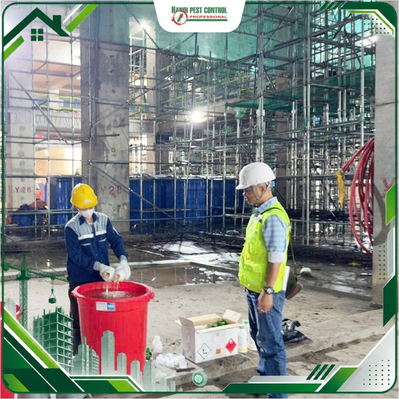 Công ty Diệt Mối Và Khử Trùng Hà Nội (Hanoi Pest Control)