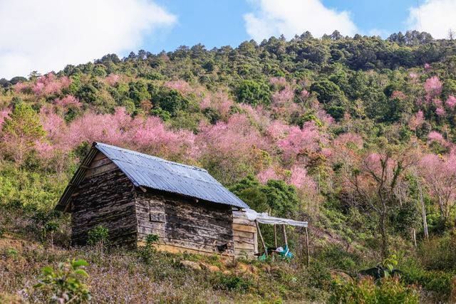 Công ty du lịch Lâm Đồng – Dalattourist