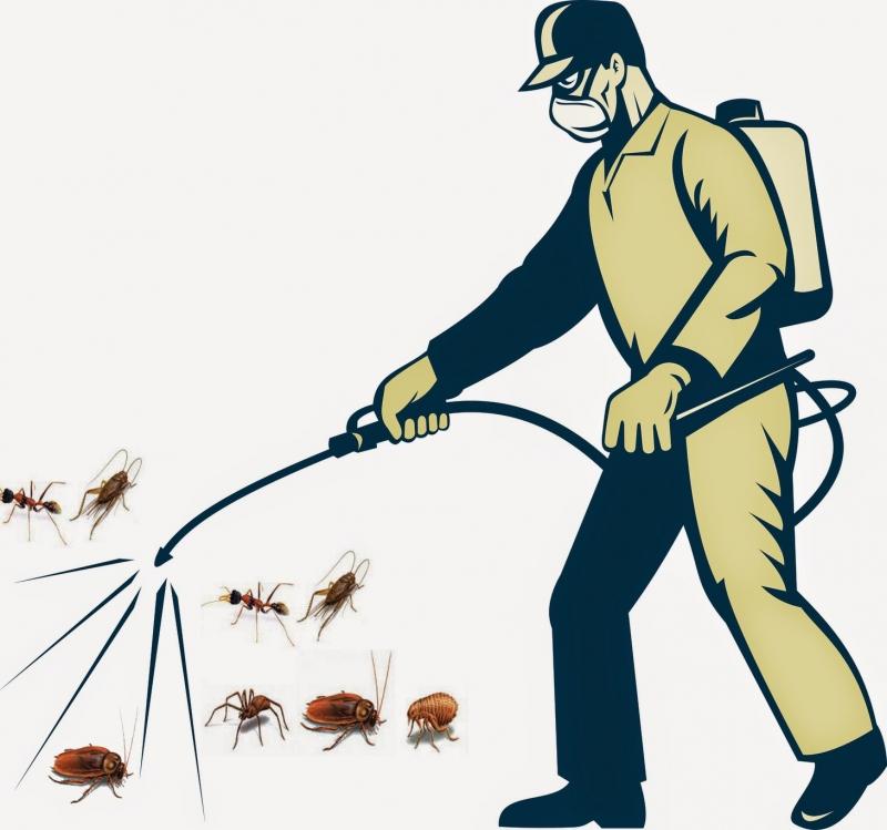 Dịch vụ phun thuốc diệt côn trùng