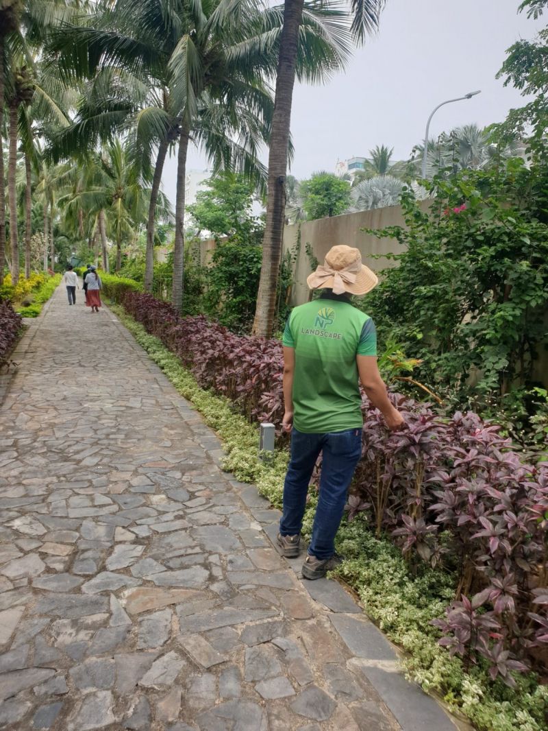 Công ty TNHH cảnh quan NP