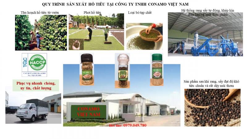 Công ty TNHH Conamo Việt Nam
