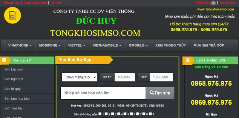 tongkhosimso.com