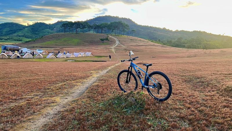 Công ty TNHH Đà Lạt Discovery