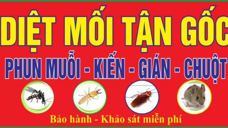 Công ty TNHH Dịch vụ Thương mại 36