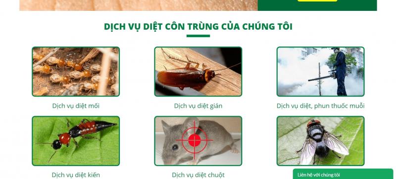 Thuốc trừ mối hại công trình xây dựng