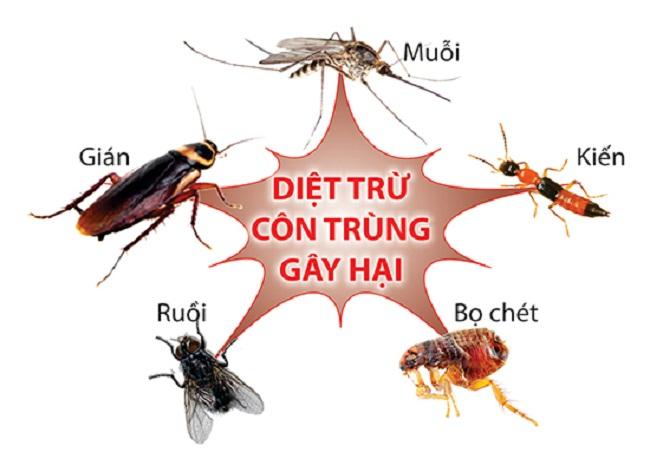 Công ty TNHH Diệt mối và Khử trùng Nam Bắc