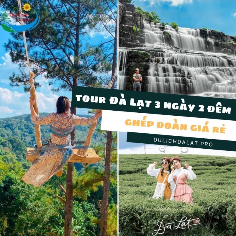 Tour du lịch Đà Lạt - Hoa Dalat Travel