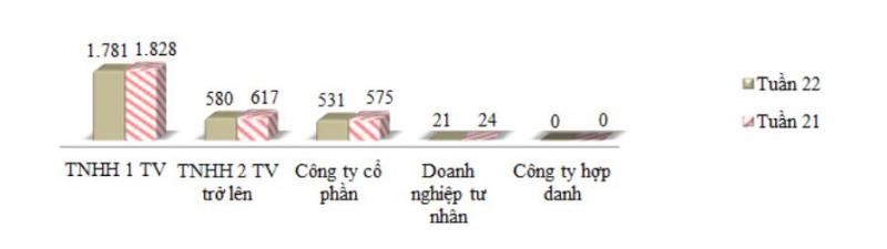 Số lượng doanh nghiệp thành lập từ ngày 24/5 đến ngày 29/5