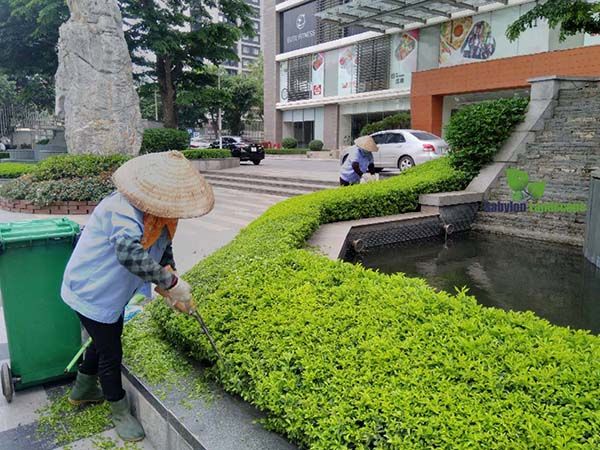 Công Ty TNHH Phát Triển Công Nghệ và Môi Trường Thiên Tân