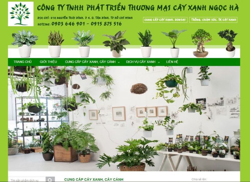 Công Ty TNHH Phát Triển Thương Mại Cây Xanh Ngọc Hà